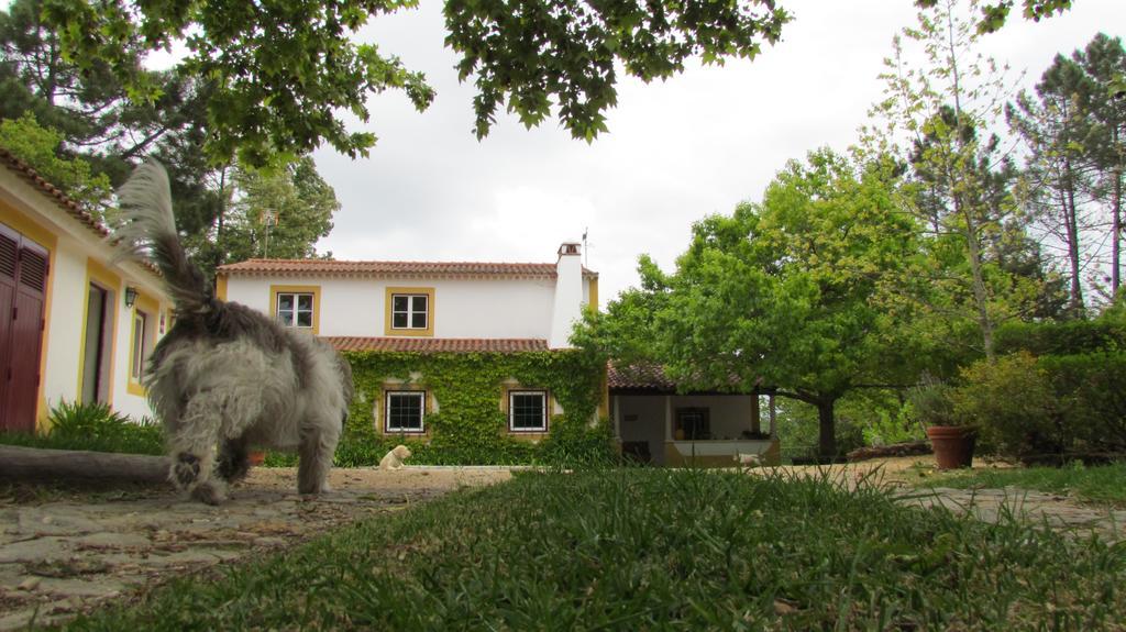 Villa Quinta Do Troviscal Castelo do Bode Exterior foto