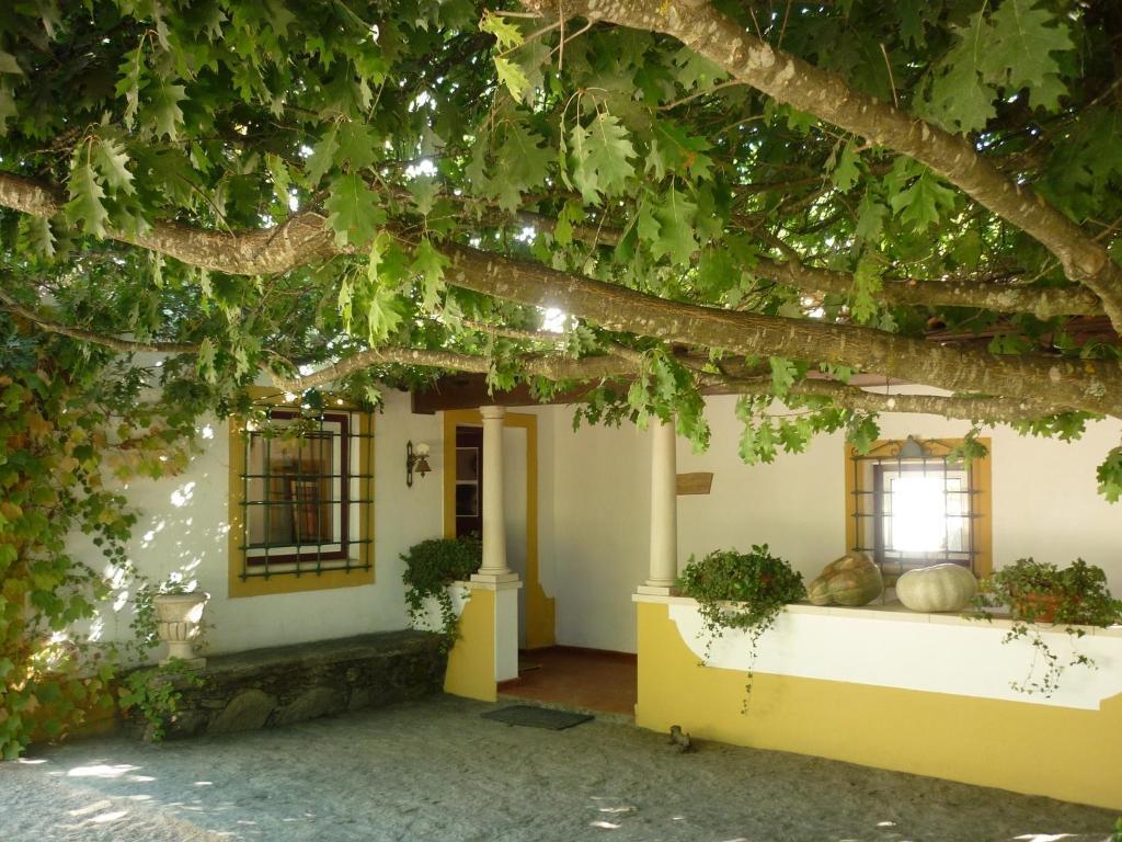 Villa Quinta Do Troviscal Castelo do Bode Exterior foto